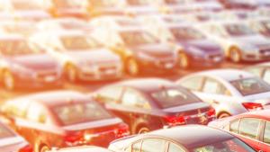 Cars lined up in a dealership