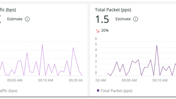 Total traffic and packets charts