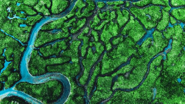 Aerial shot of green mountains and a crystal blue lake.