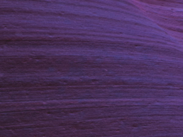 Purple card background