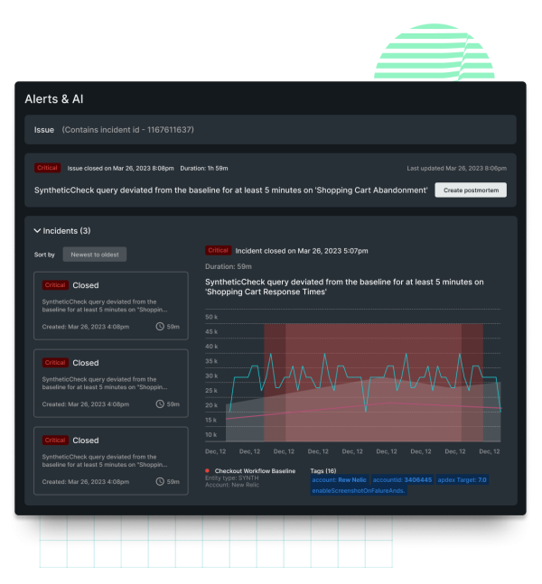 Screen showing an issue found during synthetic check query.