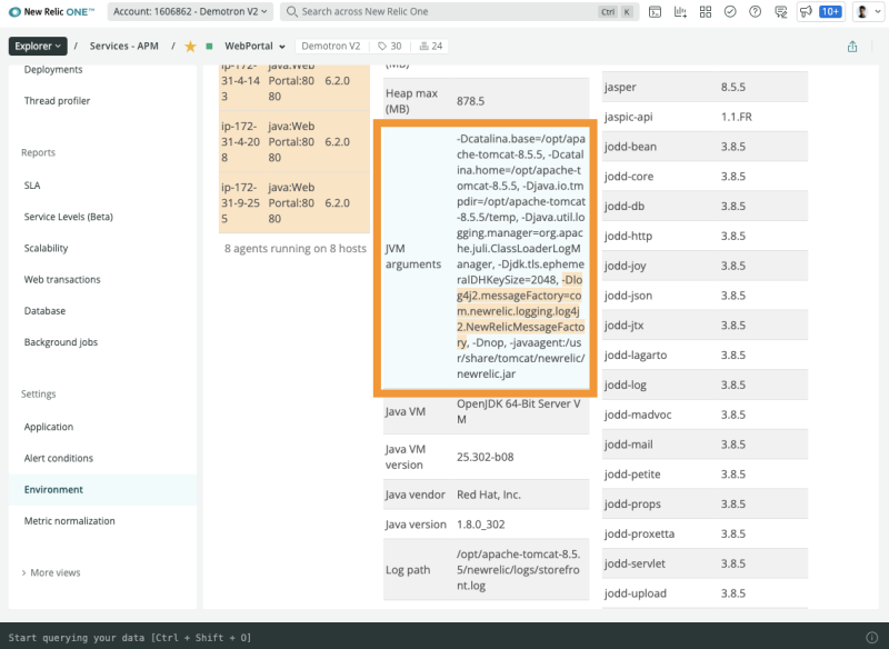 java vm parameter