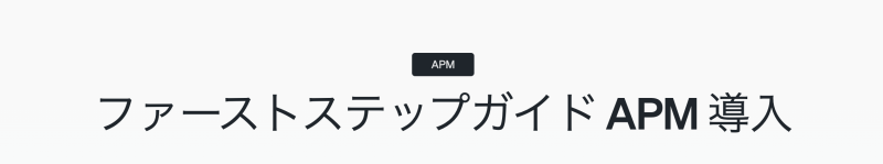 ファーストステップガイドAPM