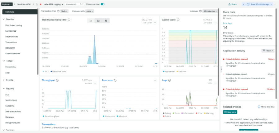 apm summary