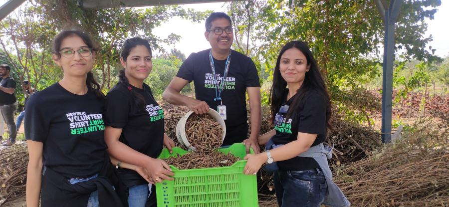 4 New Relic employees at a farm in Hyderabad, India, wearing New Relic Volunteer t-shirts and holding a bucket and a bin of harvested lentils.