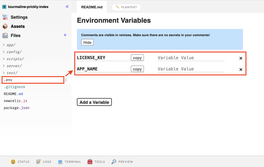 Screenshot of Glitch environmental variables