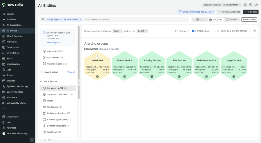 Screenshot of New Relic Navigator