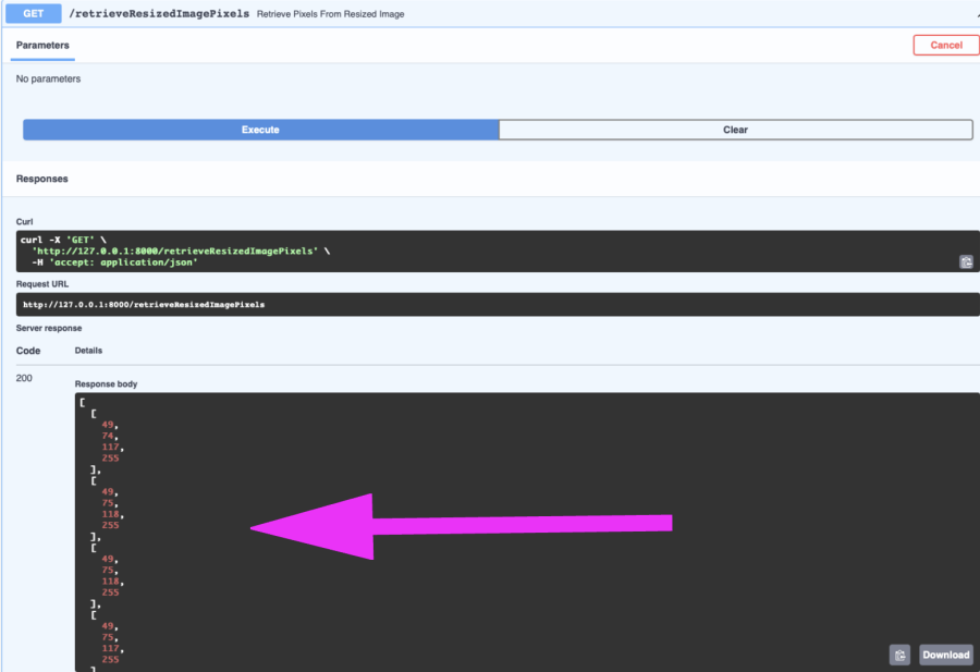 The new /retrieveResizedImagePixels endpoint works in the FastAPI online documentation.