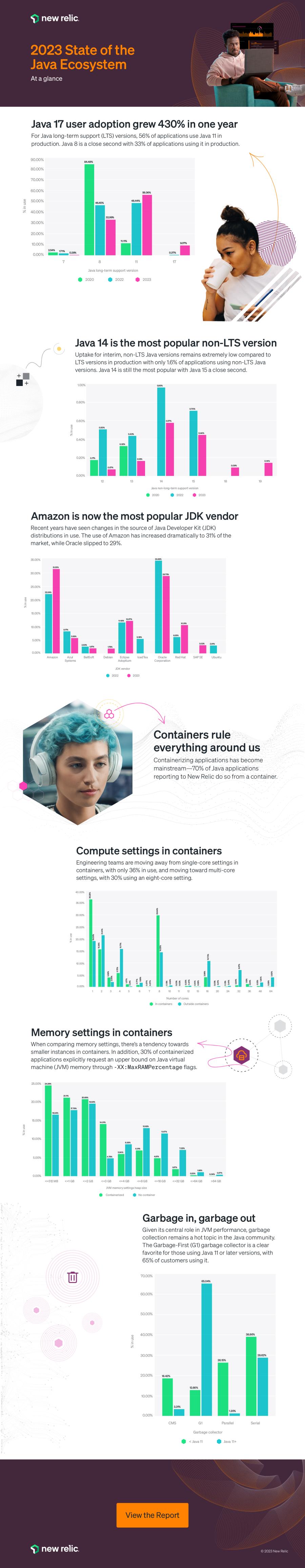 2023 State of the Java Ecosystem Infographic image