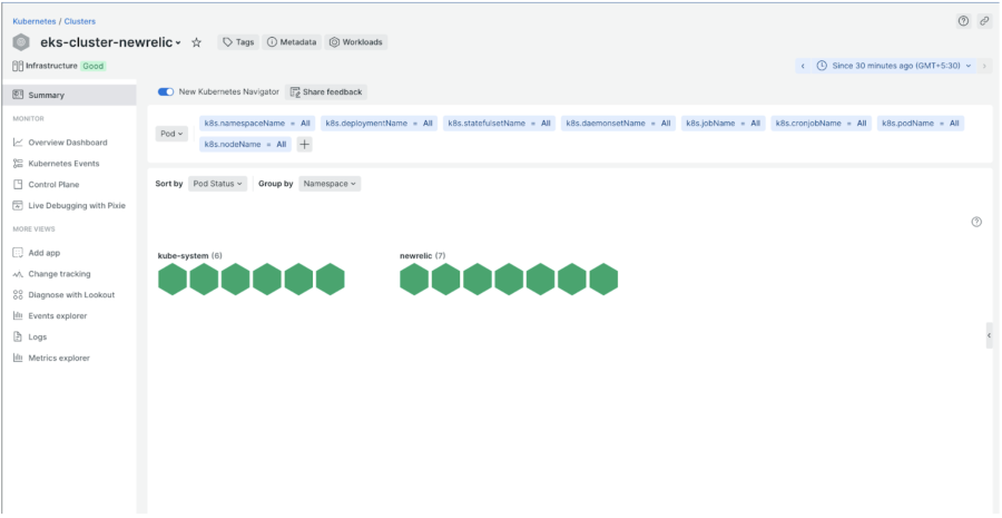 Visibility in New Relic after applying CRD