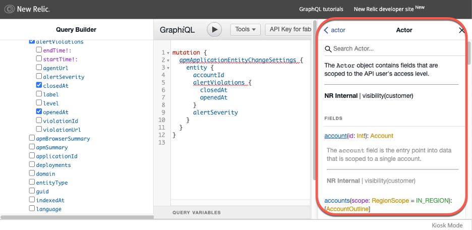 Example of a documented NerdGraph schema