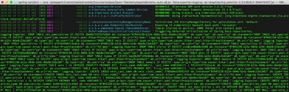 Logging data in the terminal